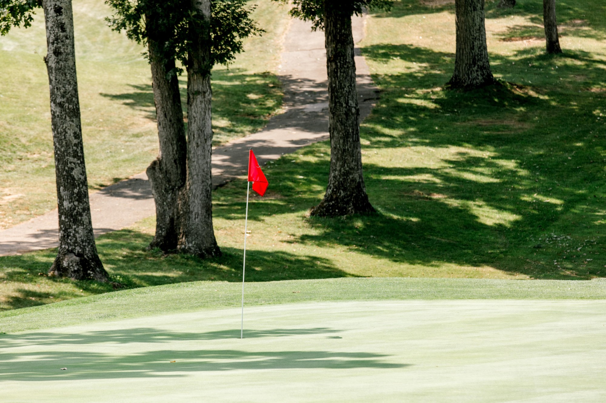 The green of a hole at Hunting Hills Country Club in Roanoke, Virginia.